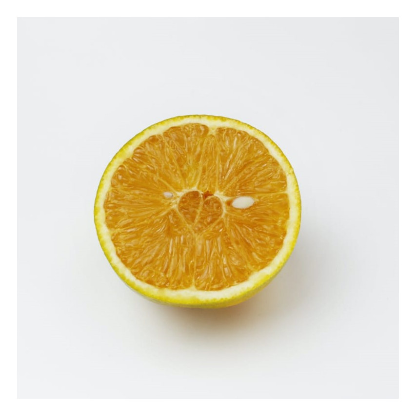 Tecido de laranja